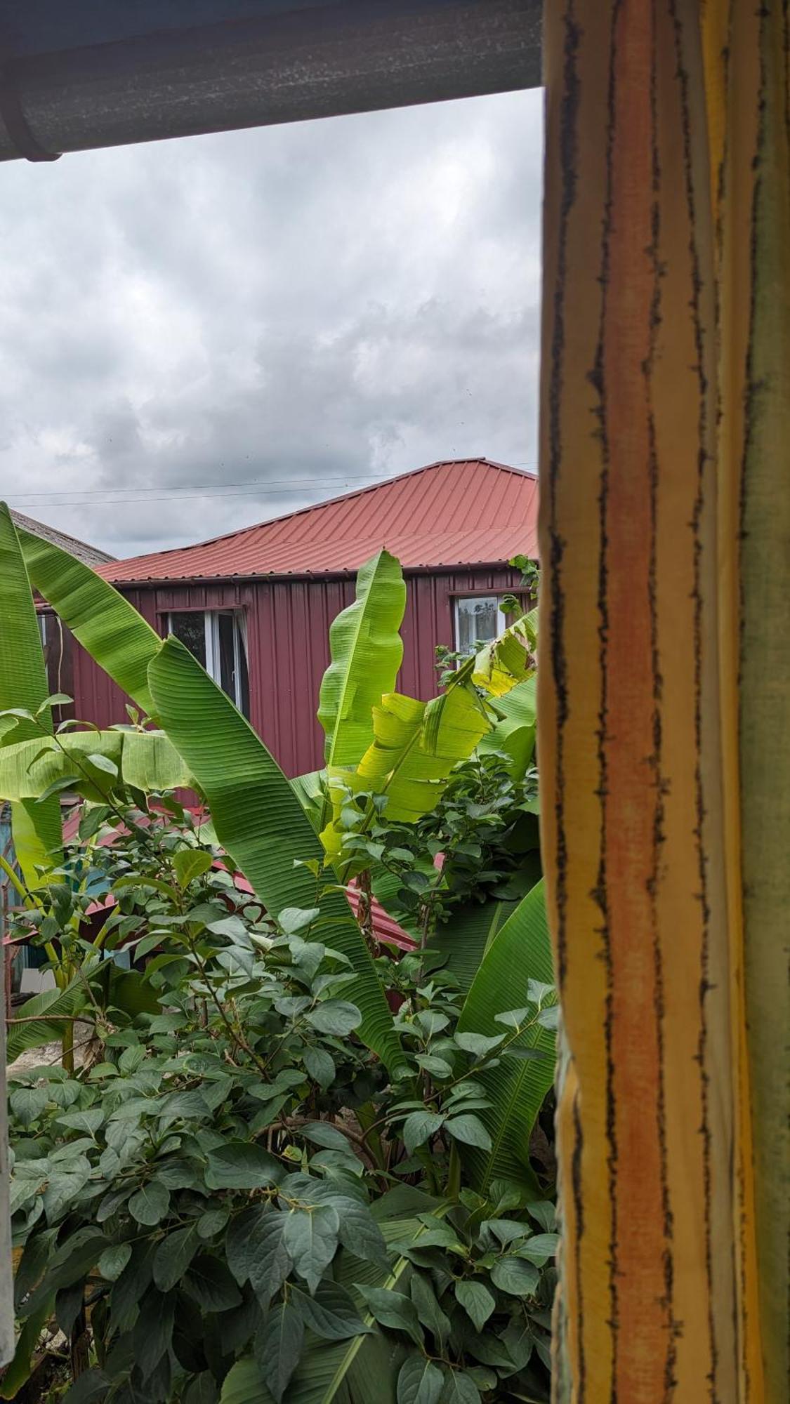 Mano'S Guest House Kobuleti ภายนอก รูปภาพ
