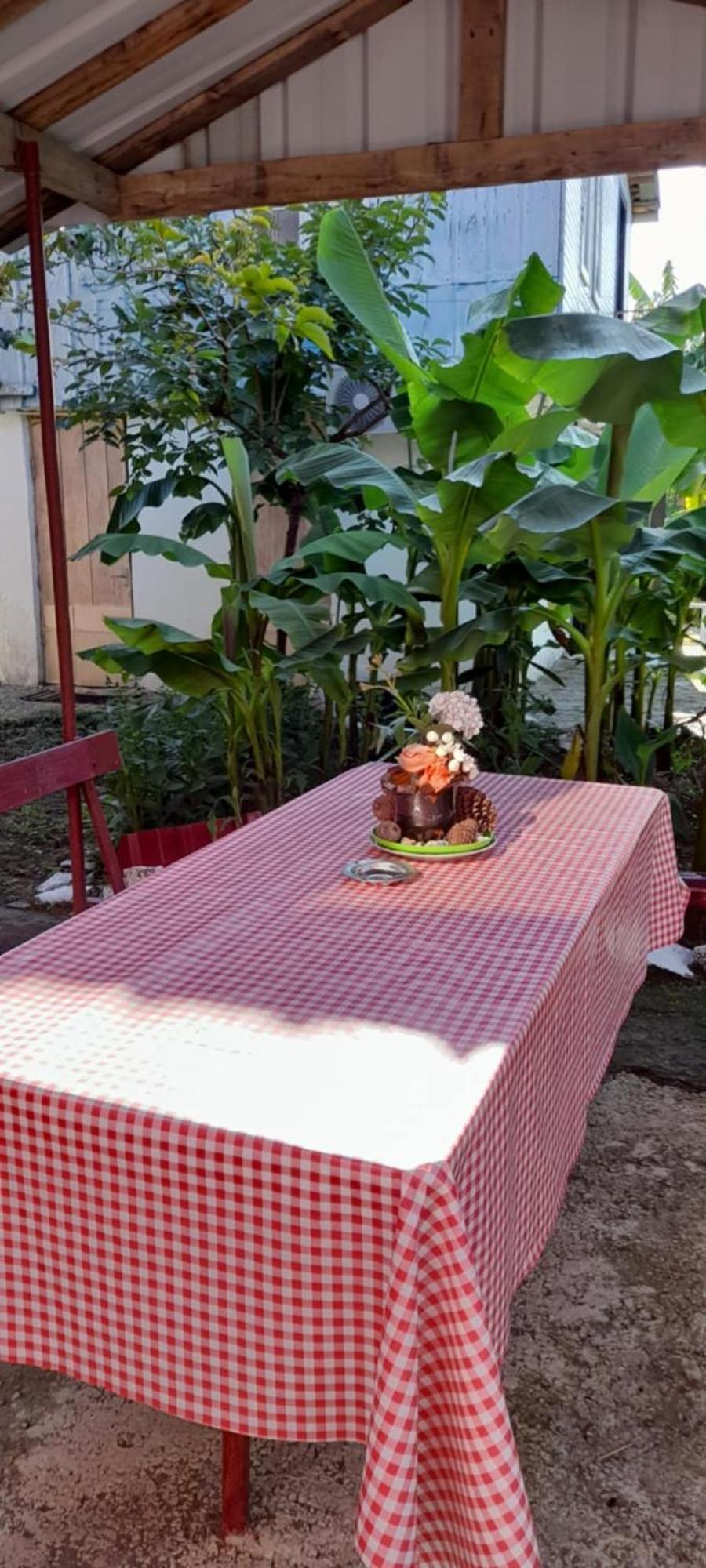 Mano'S Guest House Kobuleti ภายนอก รูปภาพ