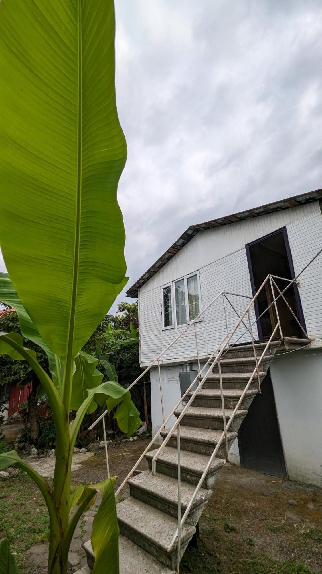 Mano'S Guest House Kobuleti ภายนอก รูปภาพ